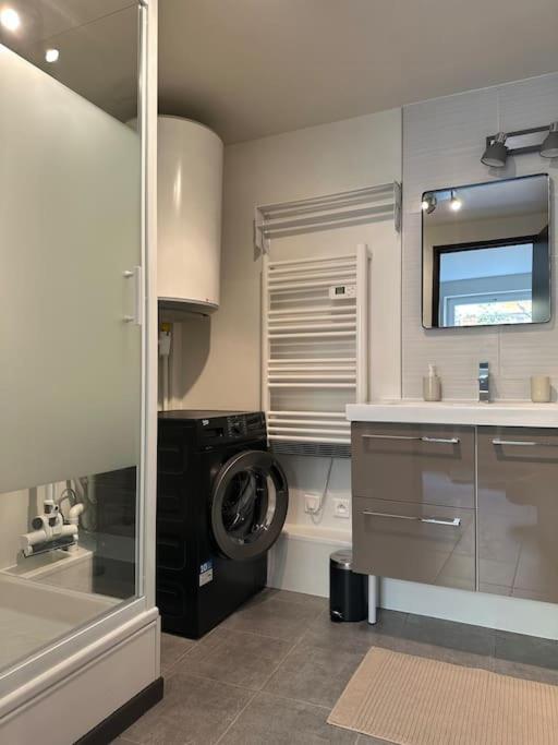 Un Petit Cocon De Tranquillite Mulhouse